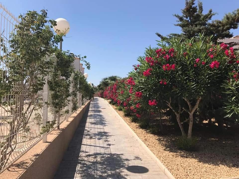 דירות אוריהואלה Casa Punta Prima מראה חיצוני תמונה